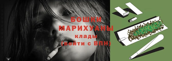 шишки Дедовск