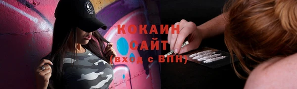 прущие крисы Белокуриха