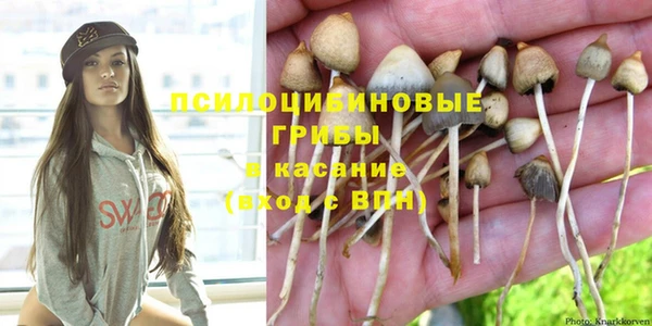 прущие крисы Белокуриха