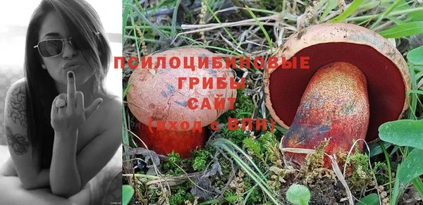 прущие крисы Белокуриха