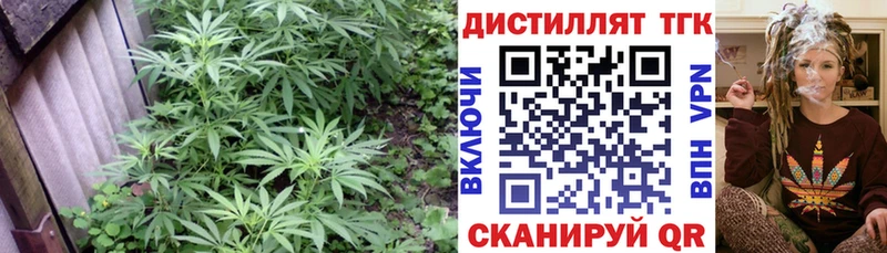 darknet клад  даркнет сайт  Светлогорск  Дистиллят ТГК Wax 